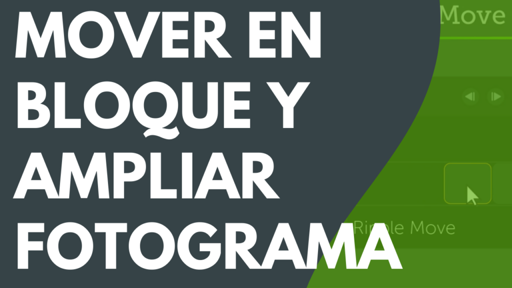 Mover en bloque y ampliar fotograma